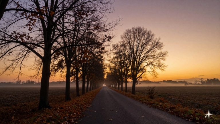 Corpse Princess Manga Volumes: All 23 Books Explained